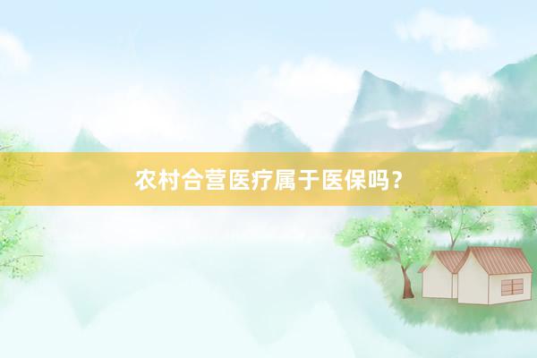 农村合营医疗属于医保吗？