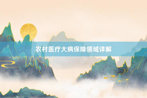 农村医疗大病保障领域详解